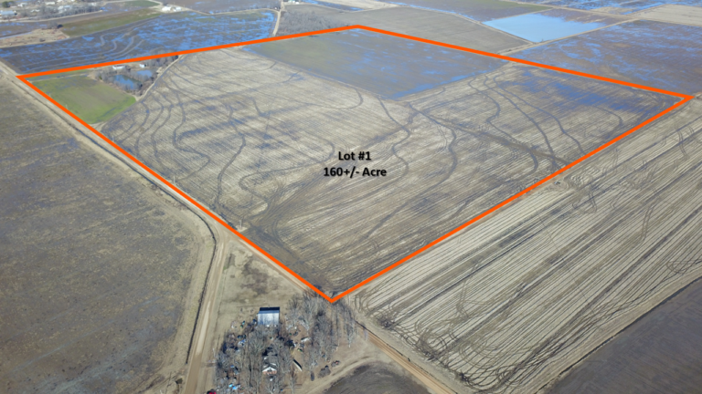 Aerial Lot 1 768x432