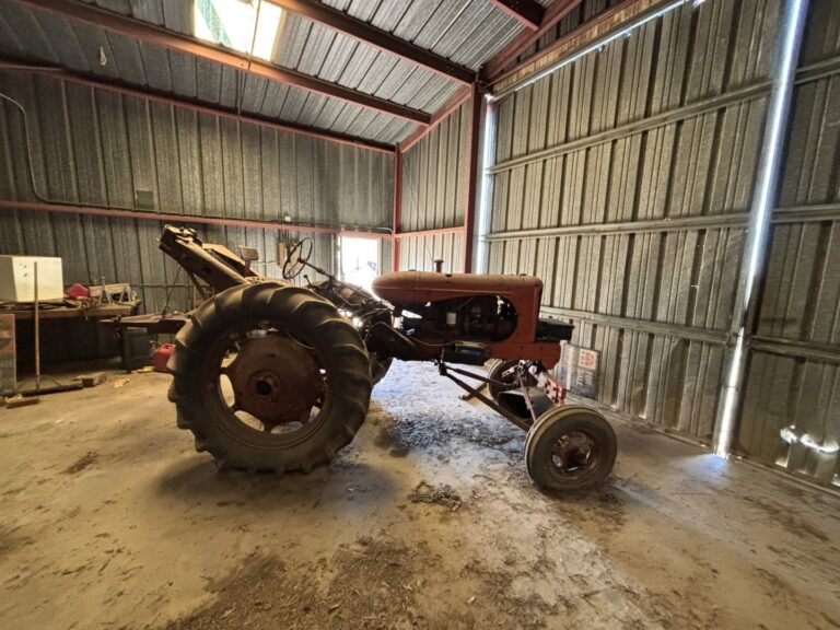 Inside Shop 2 768x576