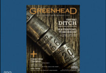 Greenhead wins Gold in national media contest for ninth year