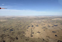 USFWS Waterfowl Breeding survey reports slightly improved conditions