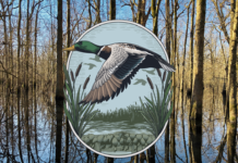 Ducks Unlimited Presents: 2026 Conservation Champions