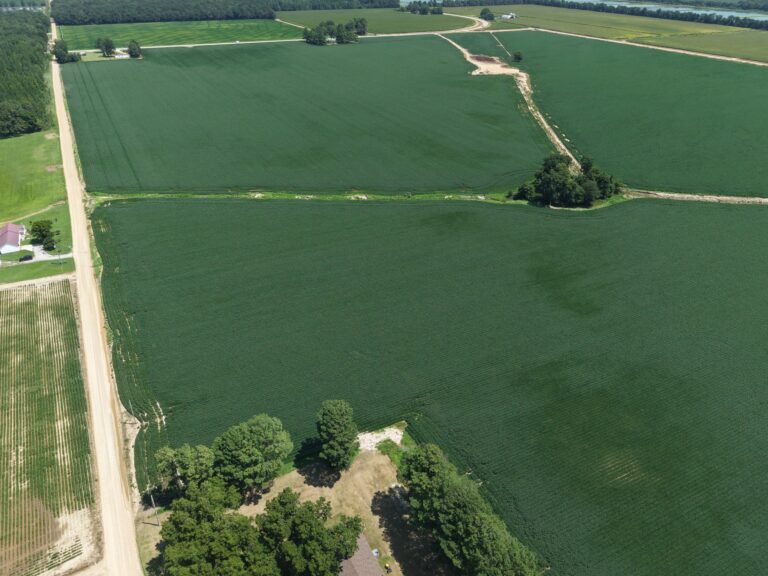 Lot 1 Cropland 4 768x576