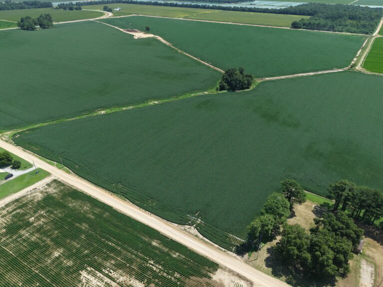 Lot 1 Cropland 5 768x576