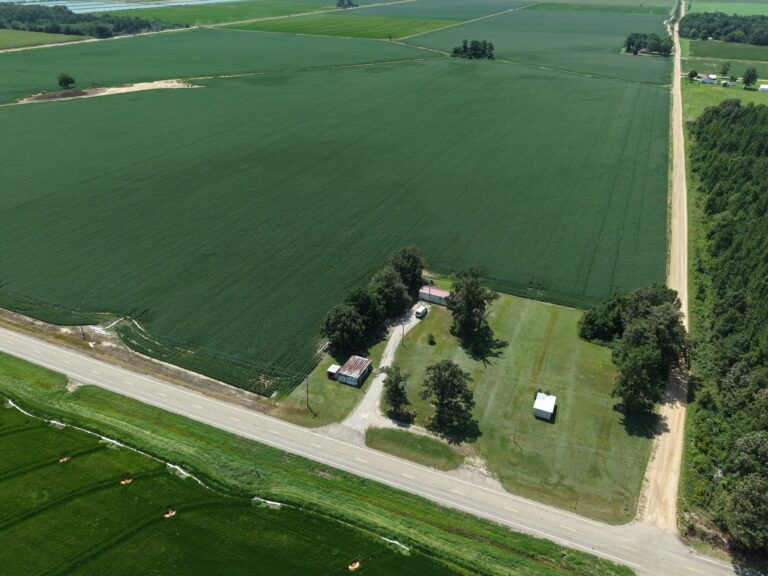 Lot 1 Cropland 7 768x576