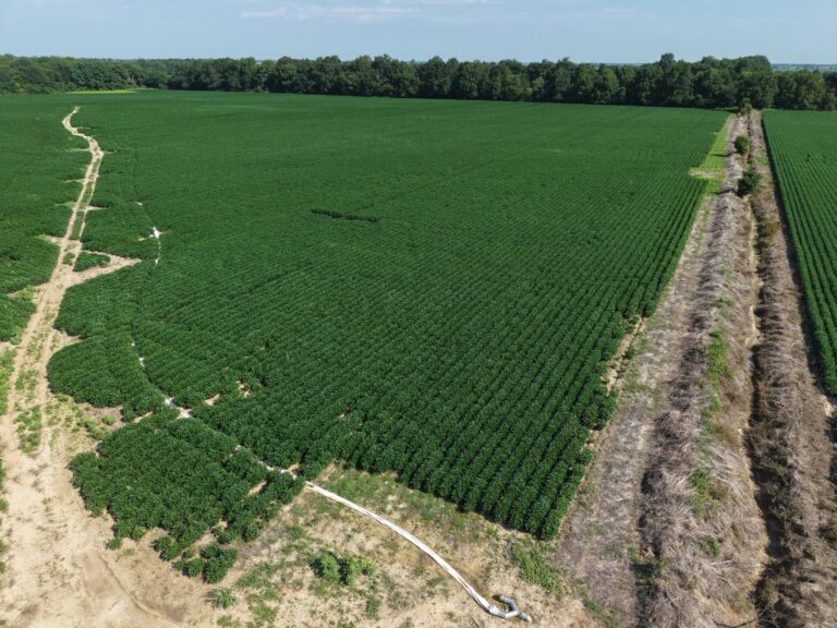 Lot 2 Cropland 2 768x576