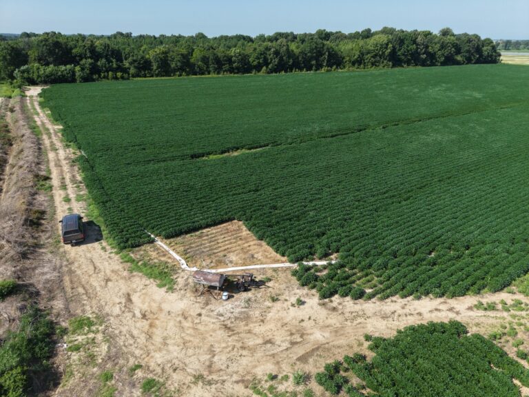 Lot 2 Cropland 3 768x576