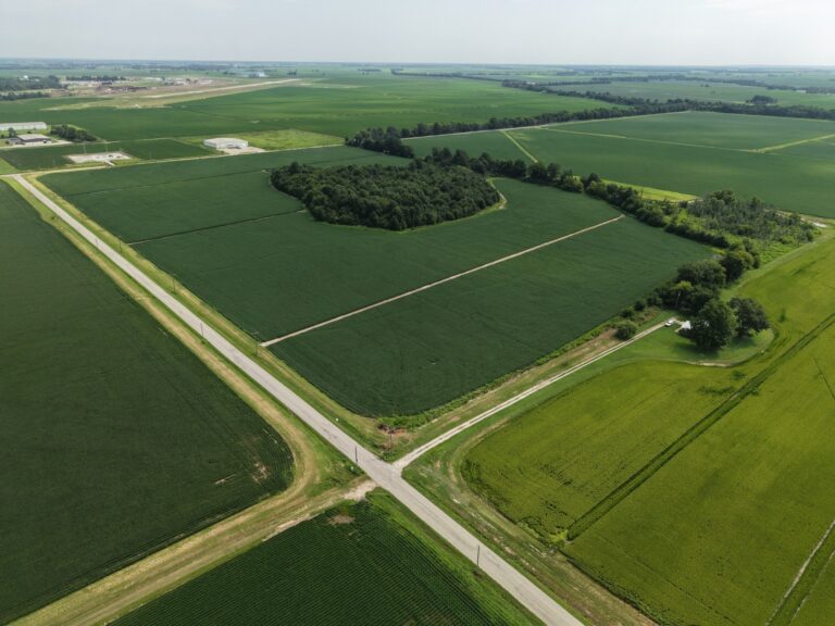 Lot 3 Cropland 3 768x576
