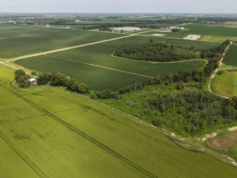 Lot 3 Cropland 4 768x576