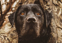 Photo Essay: My Best Shot