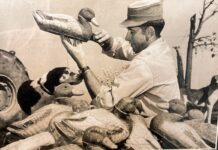 Feathers, Felonies and the Fine Art of Persuasion