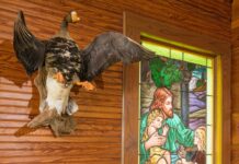 Finding Sanctuary – Former Church Building Provides for Duck Hunters