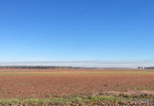 Drought likely to have negative impact on wetlands, waterfowl hunting